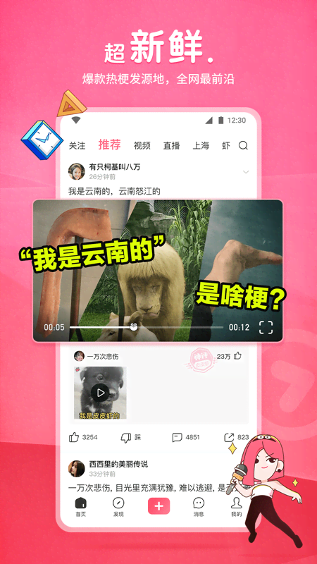 公主鞋子长什么样子截图